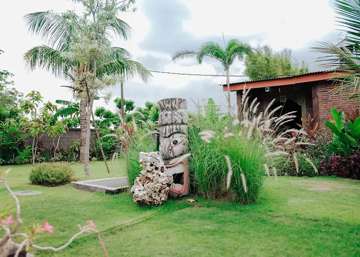 Affittacamere Jungle